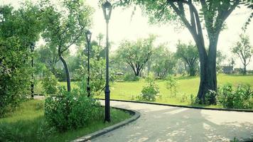 empty park after park is closed due to Coronavirus Covid-19 pandemic outbreak video