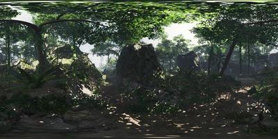 VR360 deep tropical jungles of Asia video