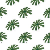 Isolated botanic seamless pattern with green palm licuala ornament. White background. Simple style. vector