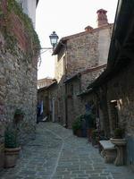 View of the city of Lucignano photo