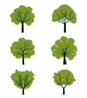 Set of Trees with leaves. Vector outline Illustration. Plant in Garden.