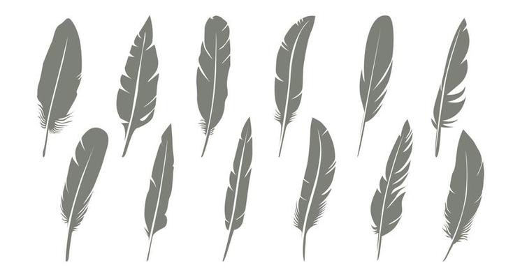 Set of Grey bird feather. Vector Illustration and outline Icons. Symbol of freedom.