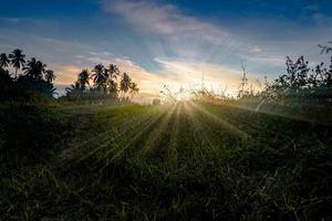 Dramatic sunset landscape at golden hour with sunrays photo