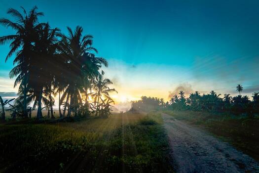 Sunset in tropical rural with pathway photo
