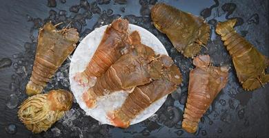 Raw flathead lobster shrimps on ice, fresh slipper lobster flathead for cooking on dark background in the seafood restaurant or seafood market, Rock Lobster Moreton Bay Bug photo