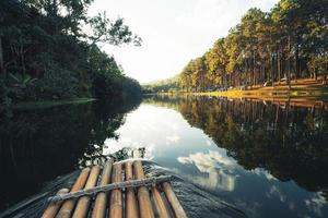 bamboo raft in the water, nature tourism photo