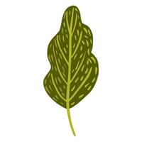 Leaf isolated on white background. Summer season green color hand drawn in doodle style, vector