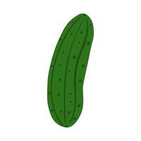 Hand drawn cucumber isolated on white background. Fresh organic ingredient. vector