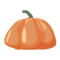 Pumpkin icon in pixel art style. Squash symbol vector