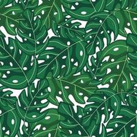 Tropical monstera leaves seamless repeat pattern . Exotic plant. vector