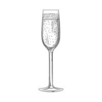 Hand drawn full champagne glass sketch. Sparkling wine glass. vector