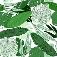 Jungle palm leaf seamless pattern on white background. Modern exotic tropical palm leaves vector