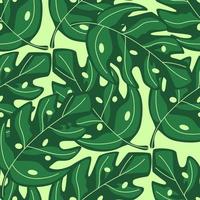 Tropical monstera leaves seamless repeat pattern . Exotic plant. vector