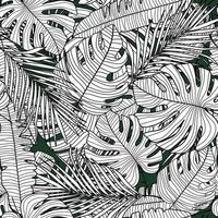 Seamless pattern with outline monstera line leaves. Tropical pattern, botanical leaf wallpaper. vector