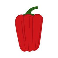 Bell pepper isolated on white background. Hand drawn red paprika vegetable. vector