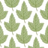Autumn fall leaves seamless botanic pattern. Isolated nature green foliage backdrop. vector