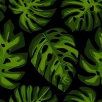 Monstera tropical exótica deja un patrón sin costuras. patrones tropicales vector