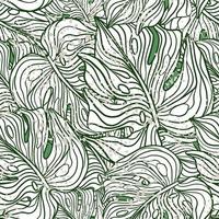Seamless pattern with doodle outline monstera leaves ornament. White foliage palm elements. Nature print. vector