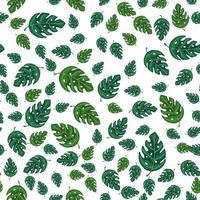 Tropical monstera leaves seamless repeat pattern . Exotic plant. vector