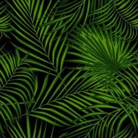 Abstract exotic plant seamless pattern on black background. vector