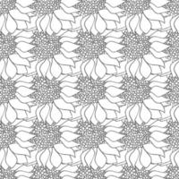 Sunflowers flowers seamless pattern in black and white colors. vector