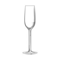 Flute glass. Hand drawn empty champagne glass sketch. Sparkling wine glass. vector