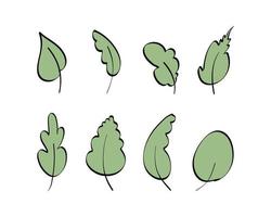 Set of green leaves drawn by hand. Elements for the design of postcards, books, menus or advertising. Isolated. Vector