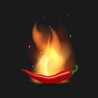 Red hot peppers on fire. Chili peppers in flames. Realistic style. Vector illustration.