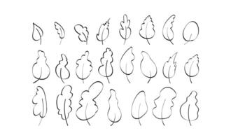 Big set of hand-drawn leaves in doodle style. Elements for the design of postcards, books, menus or advertising. Isolated on white background. illustration. vector