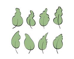 Set of green leaves drawn by hand. Elements for the design of postcards, books, menus or advertising. Isolated on white background. vector