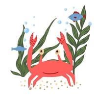 Composition crab with fish and seaweed isolated on white background. Cartoon cute red color in doodle. vector