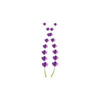 Fresh Lavender flower logo vector flat design