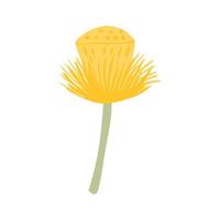 Pestle lotus isolated on white background. Beautiful hand drawn botanical sketches for any purpose. vector