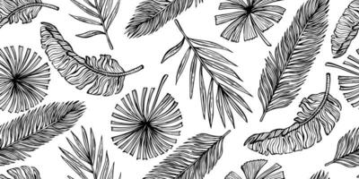 Tropical leaves seamless pattern. Vintage leaf of banana and palm in engraving style. vector