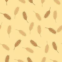 Wheat seamless pattern. Cereal crop sketch. vector