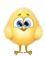 Cute cartoon Chick vector