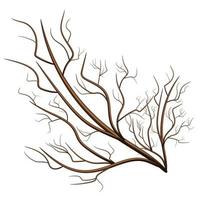 Vector image isolated on white background. Tree branch. Rostock. Tree.Concept. EPS 10