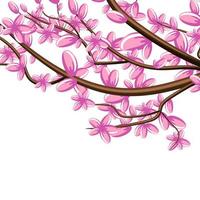 Vector image isolated on white background. Branch in pink flowers. Sakura. Concept. EPS 10