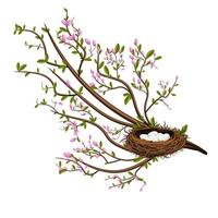 Vector image isolated on white background. A bird's nest in the branches of a bush or tree. Concept. EPS 10