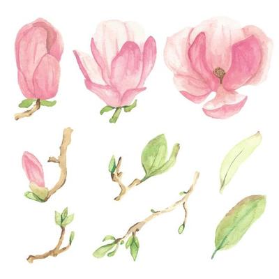 watercolor pink blooming magnolia flower and branch elements