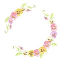 watercolor colorful pansy flower wreath frame collection isolated on white background vector