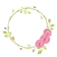 marco de corona de rosa inglesa rosa acuarela vector