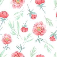 watercolor hand draw red peony seamless pattern isolated on white background for fabric or paper vector