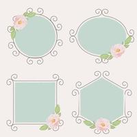 beautiful pink English roses on flourishing frame collection vector