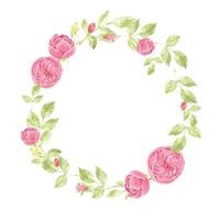 marco de corona de ramo de rosa rosa acuarela para banner o logotipo vector