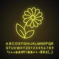Camomile neon light icon. Glowing sign with alphabet, numbers and symbols. Vector isolated illustration