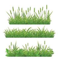 Grass Leaves Realistic Banners vector