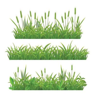 Grass Leaves Realistic Banners