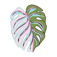 Decorative leaf monstera on white background. Abstract colorful sketch tropical leaf. vector