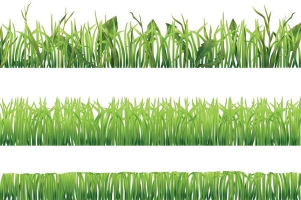 Realistic Grass Borders Set